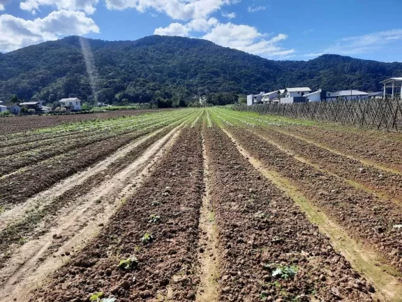 Imagem Terreno à Venda, Plano, Nível da Rua, com 11.089 m2. Sul do Rio, Santo Amaro da Imperatriz, SC