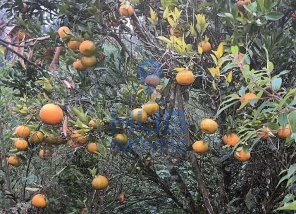 Imagem Sítio à venda, Anitápolis, Anitápolis, SC