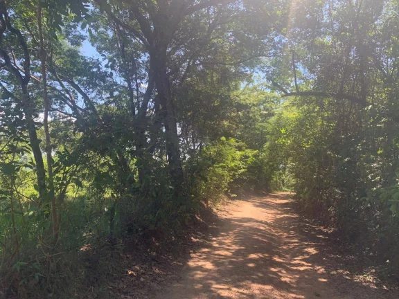 Imagem ÁREA DE 2 HECTARES , EM JUATUBA! IDEAL PARA CONSTRUTORES.