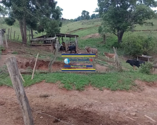 Imagem Sítio 14,5 alqueires para gado, milho, soja em Jacuí Sul de Minas Gerais - possui casa, energia e água.
