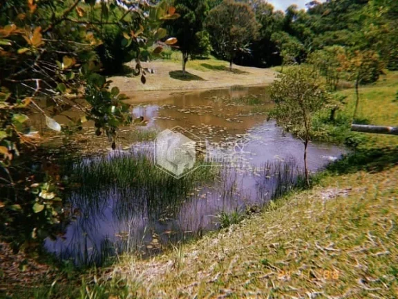Imagem Chácara à venda, com 144.000m² com Plantas frutíferas, espaço gramado, 3 lagos com nascentes, Casa com 4 Dorm, lareira e muito mais - Embu-Guaçu, SP