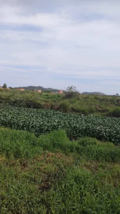 Imagem VENDO TERRENO DE 82 MILM2 SANTA CRUZ IDEAL PARA CONSTRUTORA