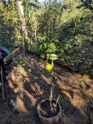Imagem Fazenda / Sítio / Chácara à venda, 158m² em Santo Amaro da Imperatriz