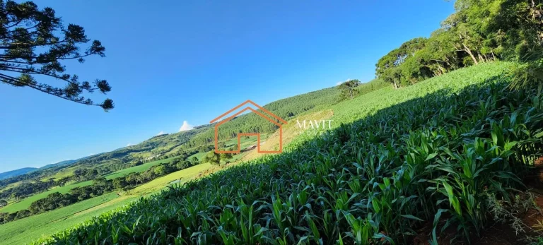 Imagem FAZENDA RURAL em CERRO NEGRO - SC, Interior