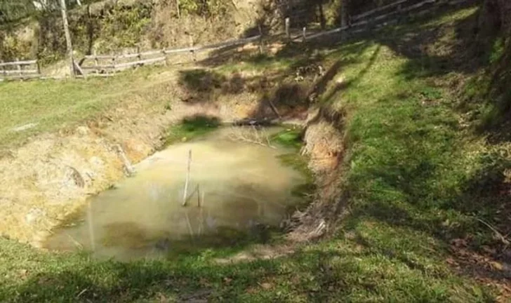 Imagem Chácara para Venda em Quitandinha, Rio da Várzea