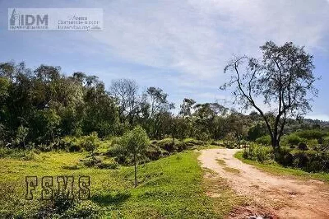 Imagem Fazenda com 145 ha para empreendimento em Indaiatuba - SP