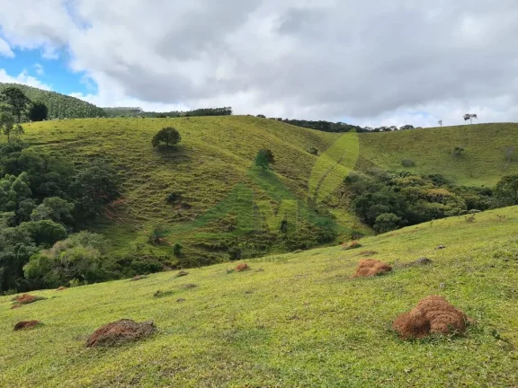 Imagem Belíssimo sítio á venda localizada na cidade de Piracaia