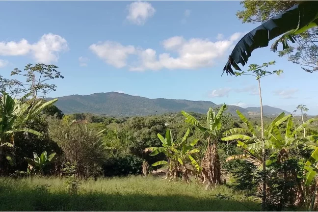 Imagem Terreno à Venda em Guaratiba