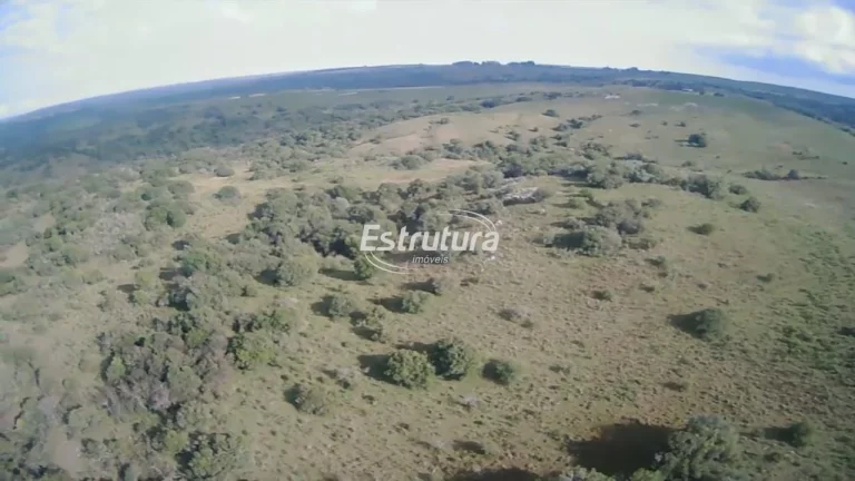 Imagem Área rural de 160 hectares, próxima a cidade de Vila Nova do Sul