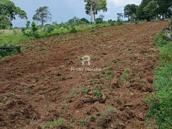Imagem Fazenda a venda com 890 hectares Dupla aptidão na Região de Nossa senhora do Livramento Livramento MT