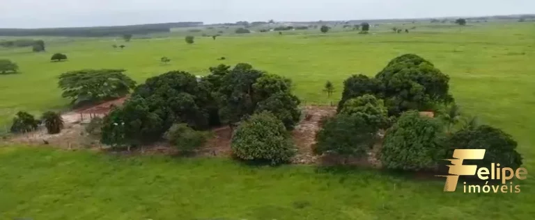 Imagem FAZENDA À VENDA EM TEIXEIRA DE FREITAS / BAHIA