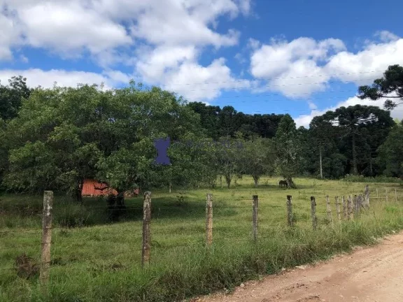 Imagem CHÁCARA NA REGIÃO DO BUGRE EM BALSA NOVA