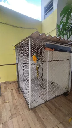 Imagem Ampla Casa Duplex com Anexo, Churrasqueira e 8 Vagas – Taquara