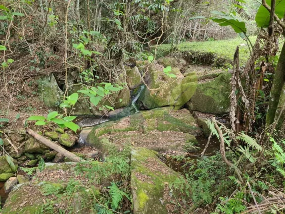 Imagem Lindo sítio à Venda em Piracaia