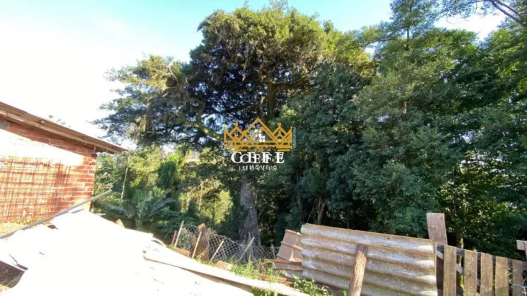 Imagem Chácara - Sítio com 2 Dormitorio(s) localizado(a) no bairro Zona Rural em Três Coroas / RIO GRANDE DO SUL Ref.:1415