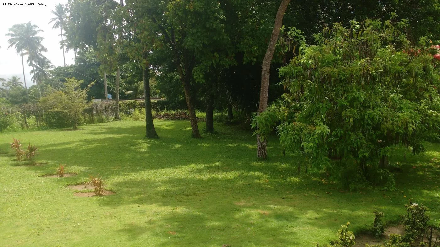 Imagem Chácara à Venda, 6.100 m² em Santa Rita - Igarassu