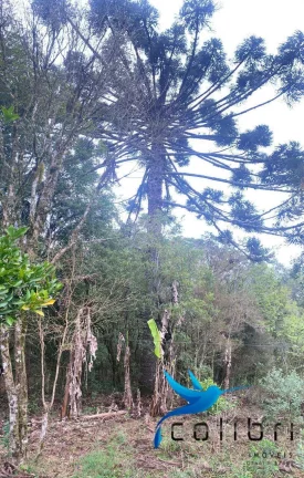 Imagem Chácara com 2 Quartos à Venda, 16.790 m² em Rio Da Várzea - Quitandinha