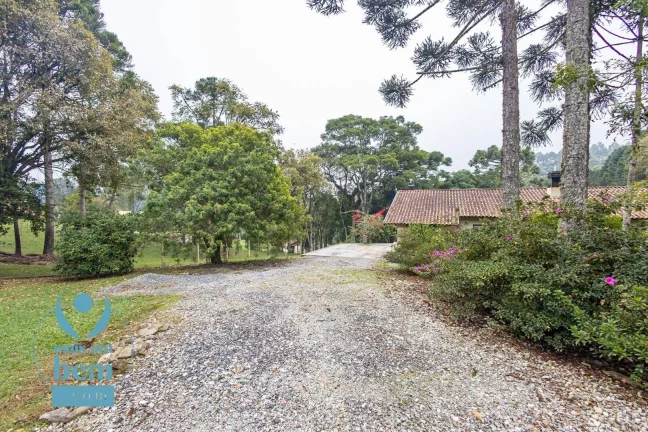 Imagem Belíssima Chácara com 3 dormitórios à venda, 6000 m² por R$ 1.400.000 - Salgadinho - Campo Largo/PR