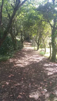 Imagem Sítio - Venda em Cabreúva e Região/SP