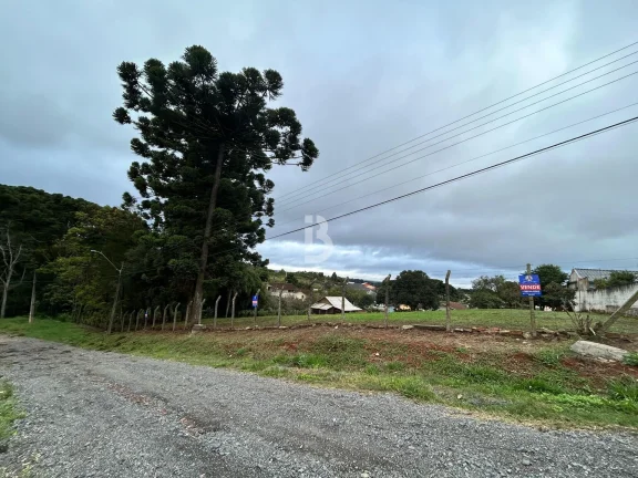 Imagem Terreno na Vila Bancária em Campo Largo a venda com 2600m²