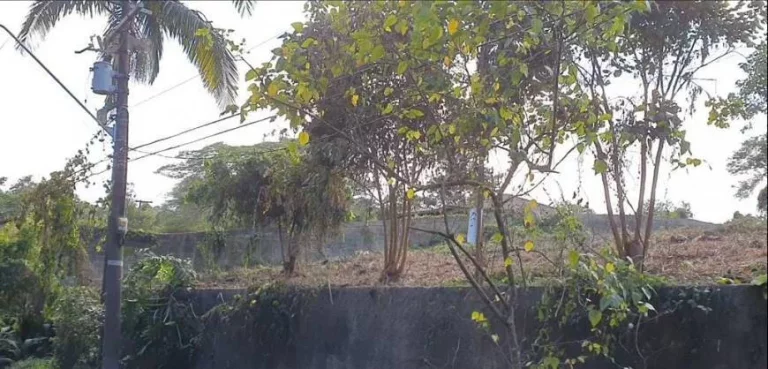 Imagem Terreno à venda, 3.203 m² por R$ 700.000 - GRANJA VIANA – PARQUE PRIMAVERA
