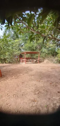 Imagem CHÁCARA A VENDA EM JARINÚ