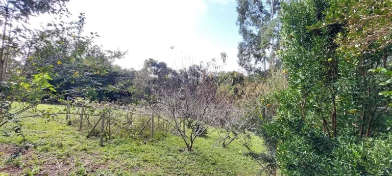 Imagem Chácara à venda em Campo Largo/PR