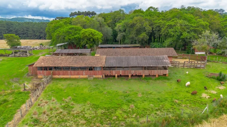 Imagem Sítio à venda na Lapa Paraná