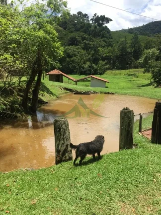 Imagem Sitio de Encanto em Piracaia - 11 Alqueires a Poucos Passos da Natureza
