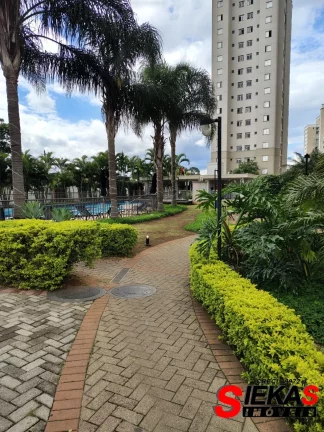 Imagem Imperdível: Apartamento à venda em São Paulo-SP, bairro Guilhermina Esperança. 2 quartos, 1 sala, 1 banheiro, 1 vaga.