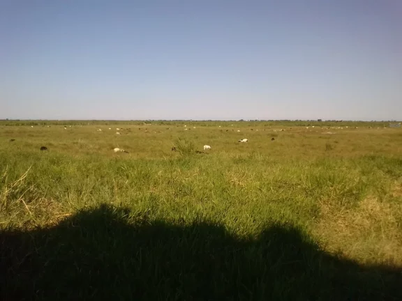 Imagem FAZENDA RURAL em LINHARES - ES, ÁREA RURAL DE LINHARES