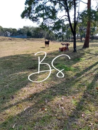 Imagem AREA RURAL em CANELA - RS, São Lucas