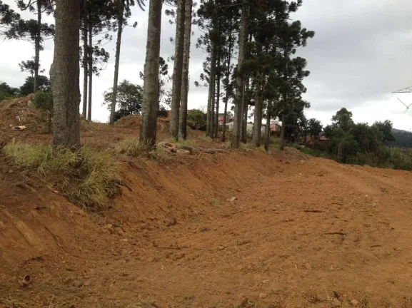 Imagem Área 2.740m² (ZIS) próx. ao centro de Cotia (Km 32 Rap. Tavares) p/ MCMV