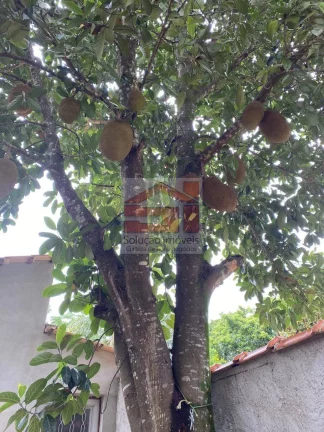 Imagem CHÁCARA - Cod V.327