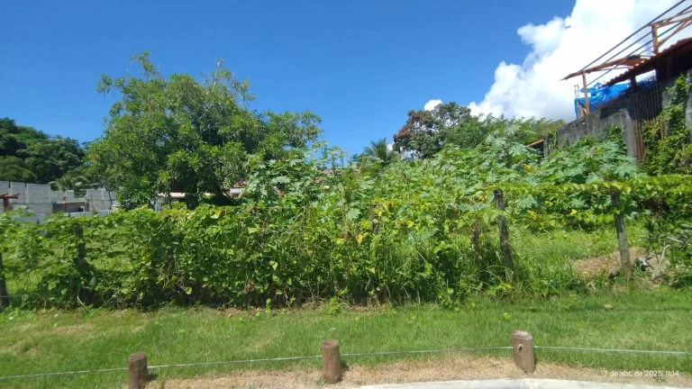 Imagem Excelente oportunidade de investimento! Terreno com 736 m² à venda no bairro Velha Boipeba