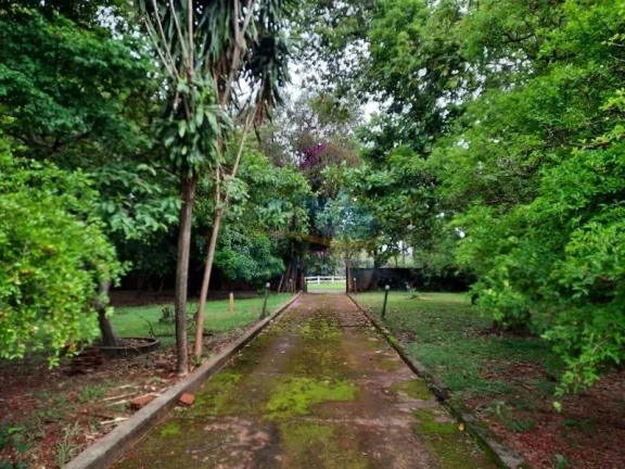 Imagem Chácara - Ribeirão Preto - Bonfim Paulista - Região Sul