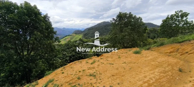 Imagem Terreno com 5.000 m² e Plantação de Café à Venda - Santa Lepoldina