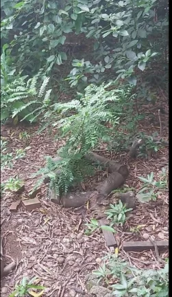 Imagem Linda casa com chácara perto de tudo. Estudo troca por imóveis de menor valor.