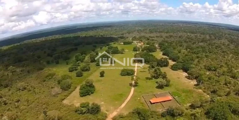 Imagem Fazenda 5.500 Ha Piauí