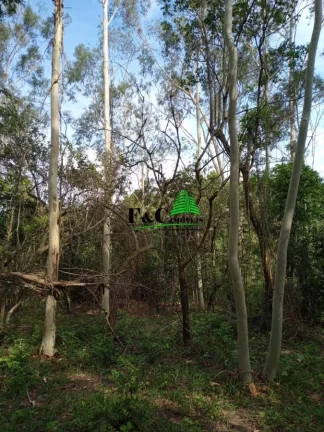 Imagem Terreno para Venda em Rio Claro, Área Rural de Rio Claro