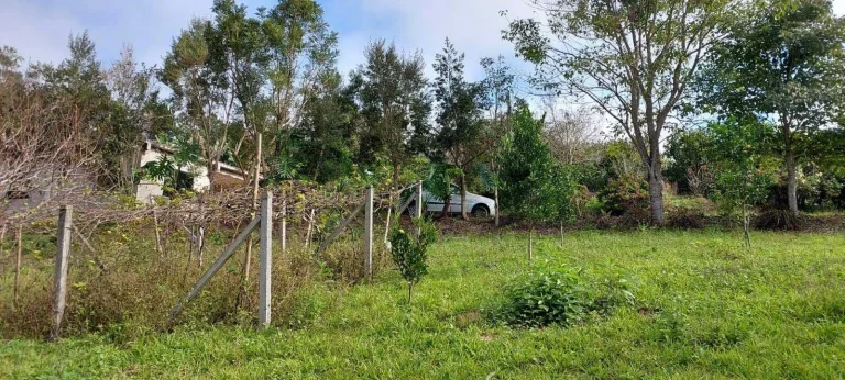 Imagem Chácara à venda em Campo Largo/PR