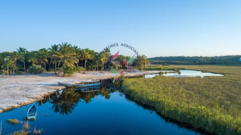 Imagem Mogi dos Pássaros - Mogiquiçaba - Belmonte - Bahia