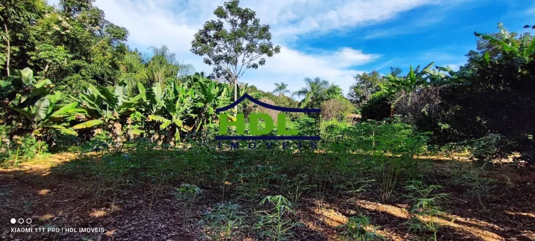 Imagem Chácara de 2 alqs com Água em Abundância e terra de Cultura