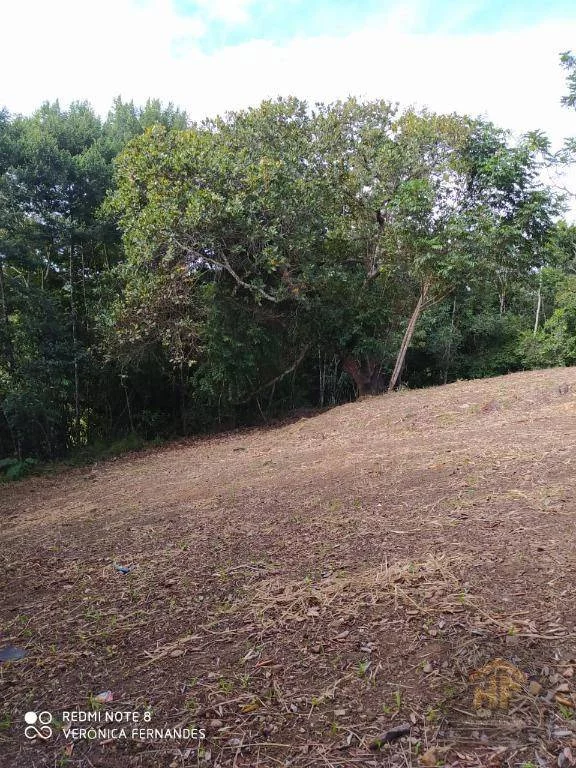 Imagem Terreno à Venda, 4.959 m² em Aldeia - Paudalho