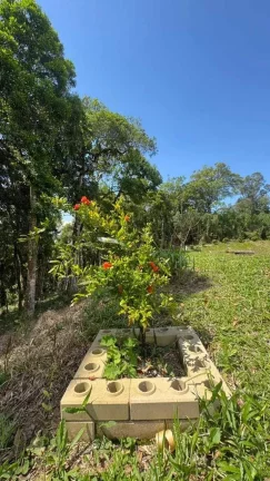 Imagem Chácara com 3 dormitórios e 2 vagas de garagem em Salto do Engenho | Campo Alegre/SC