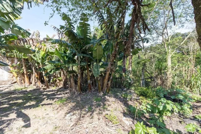 Imagem CDSCDS 667 Lote LU431261 - Terreno à venda no bairro Chapéu do Sol - Porto Alegre/RS