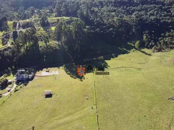Imagem Sítio à venda, 200000 m² por R$ 2.500.000 - Rio do Engano - Urubici/SC
