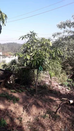 Imagem Terreno à venda, 225 m² por R$ 133.000,00 - Água Azul - Guarulhos/SP