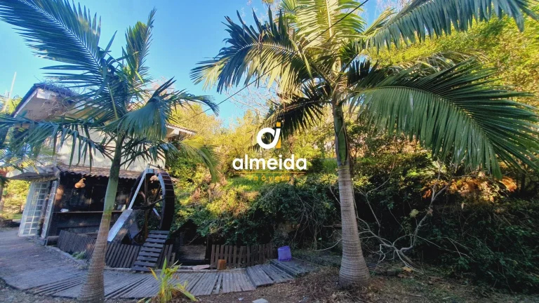 Imagem CHACARA DENTRO DA CIDADE