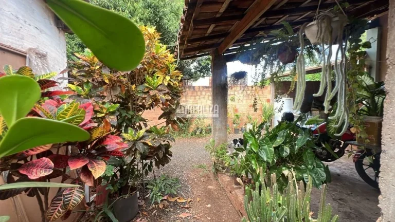 Imagem Espaçosa casa à venda no bairro Fabrício, Uberaba - 6 dormitórios e amplo quintal!